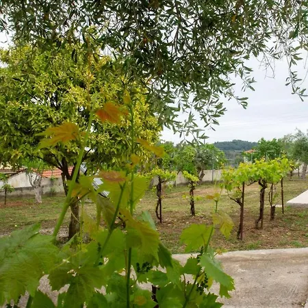 Kanakades Village House Holiday home
